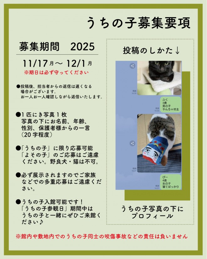 うちの子募集要項